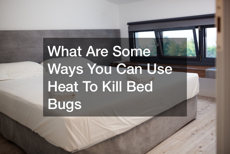 What Are Some Ways You Can Use Heat To Kill Bed Bugs