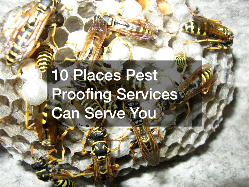 10 Places Pest Proofing Services Can Serve You