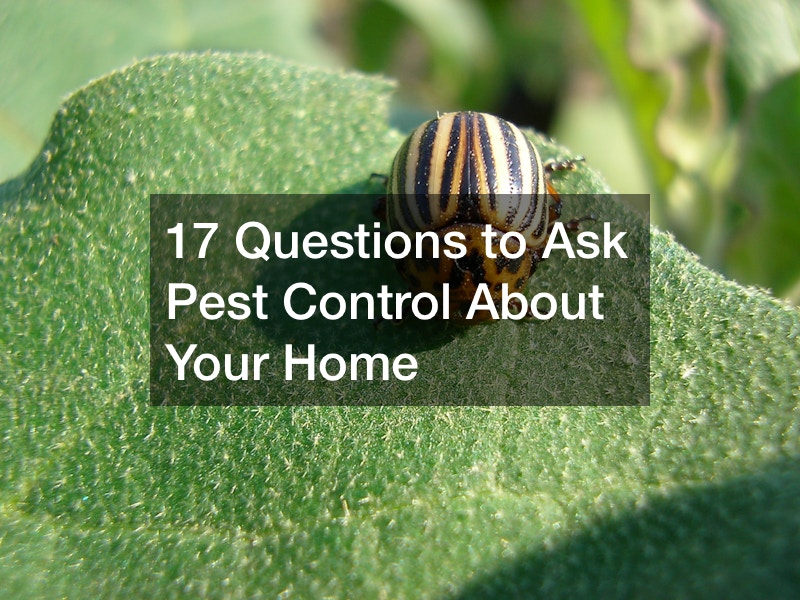 17 Questions to Ask Pest Control About Your Home