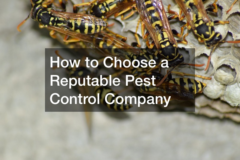 How to Choose a Reputable Pest Control Company