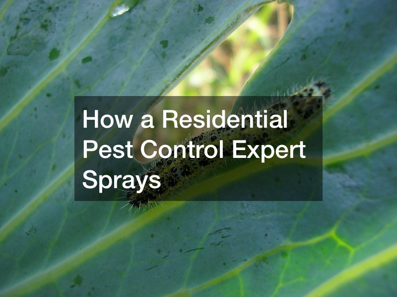 How a Residential Pest Control Expert Sprays
