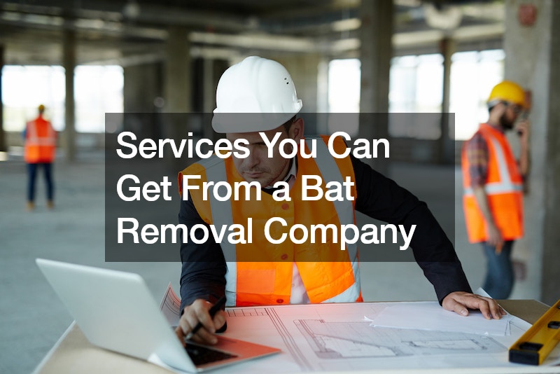 The Services You Can Get From a Bat Removal Company