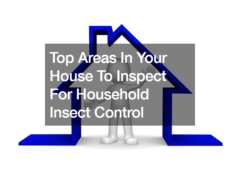 Top Areas In Your House To Inspect For Household Insect Control