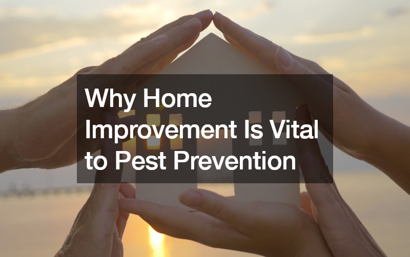 Why Home Improvement Is Vital to Pest Prevention