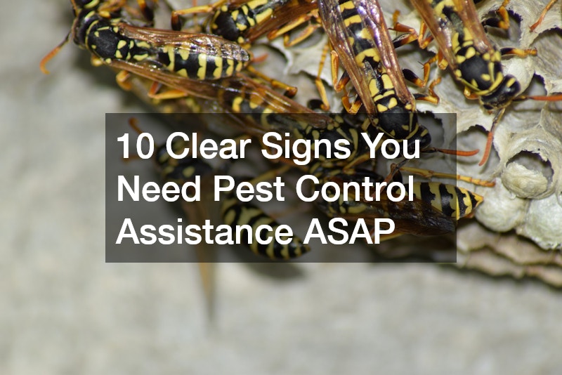 10 Clear Signs You Need Pest Control Assistance ASAP