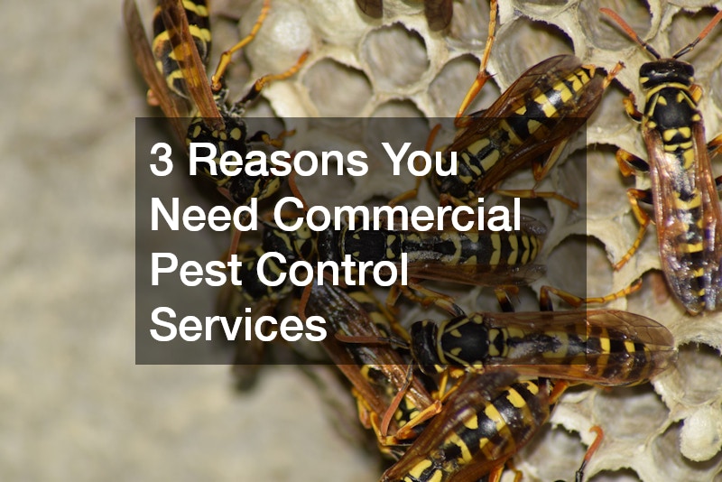 3 Reasons You Need Commercial Pest Control Services