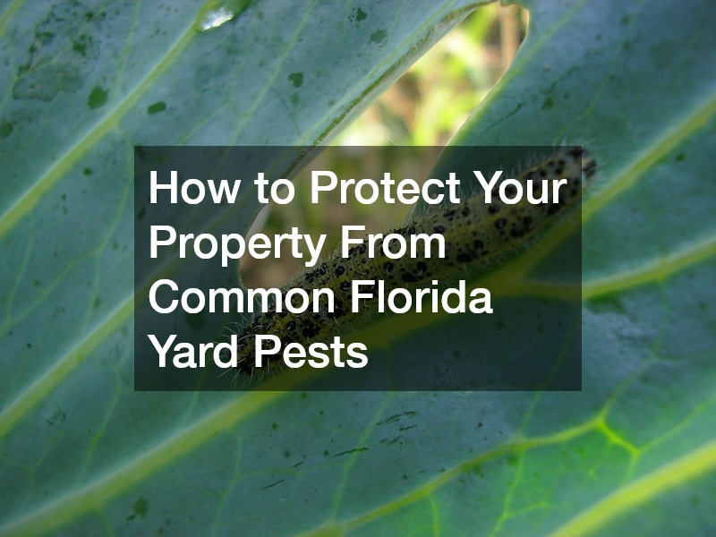 How to Protect Your Property From Common Florida Yard Pests