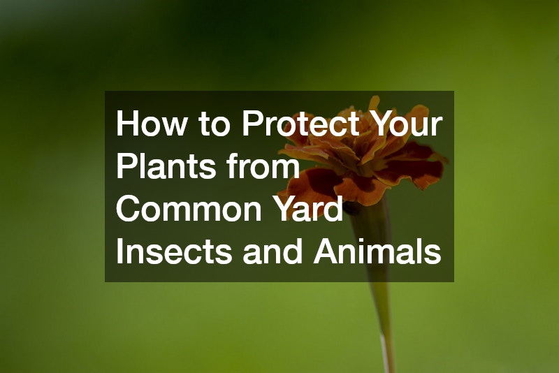 How to Protect Your Plants from Common Yard Insects and Animals