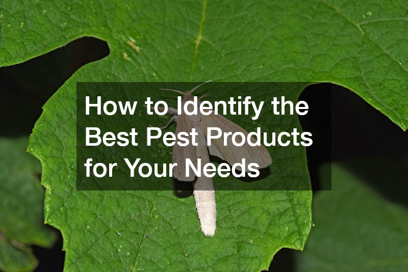 How to Identify the Best Pest Products for Your Needs