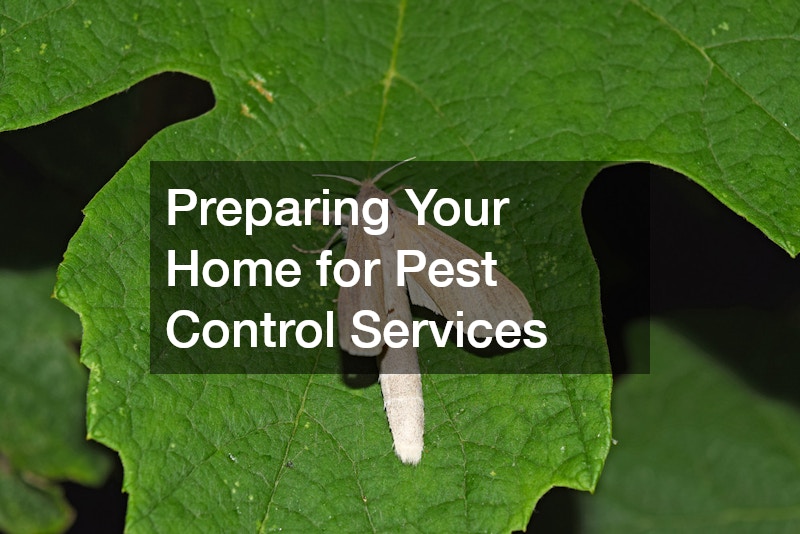 Preparing Your Home for Pest Control Services