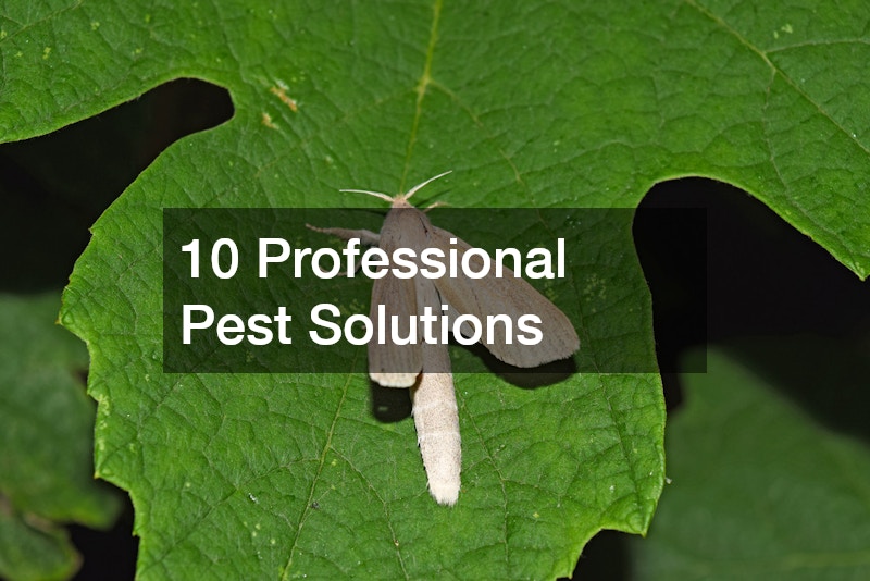 10 Professional Pest Solutions