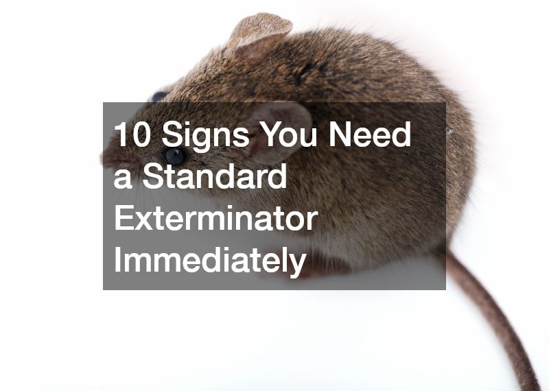 10 Signs You Need a Standard Exterminator Immediately