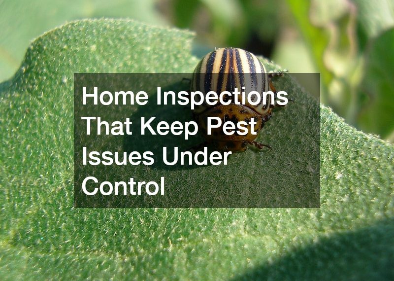 Home Inspections That Keep Pest Issues Under Control
