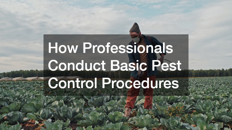 How Professionals Conduct Basic Pest Control Procedures