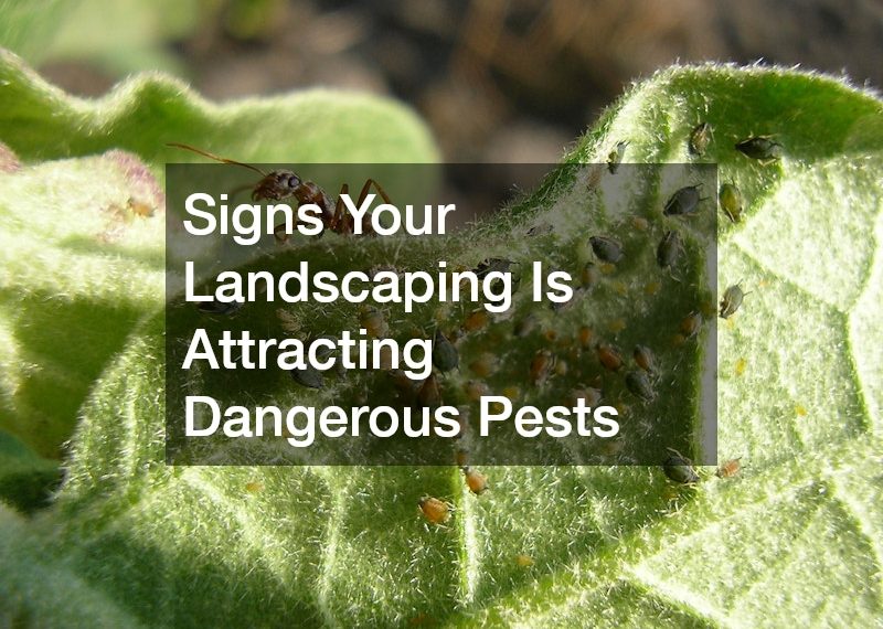 Signs Your Landscaping Is Attracting Dangerous Pests