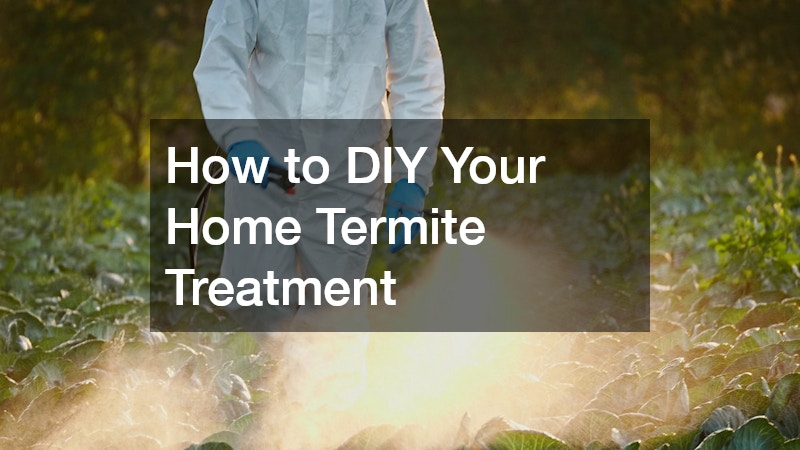 How to DIY Your Home Termite Treatment