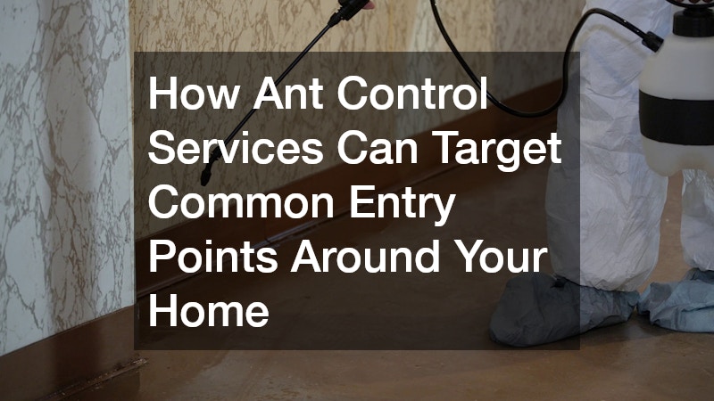How Ant Control Services Can Target Common Entry Points Around Your Home
