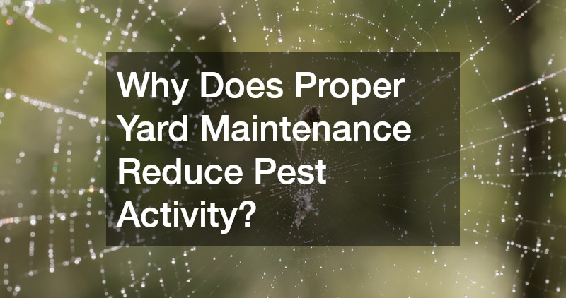 How to Protect Your Property From Common Pest Problems