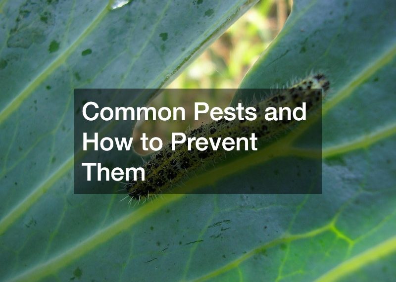 Common Pests and How to Prevent Them
